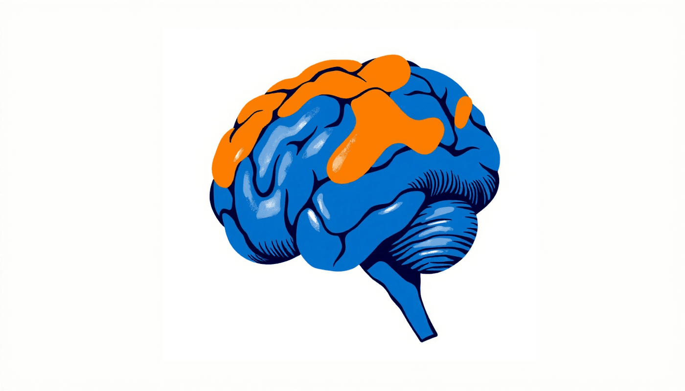 How the Brain Learns a Language: The Story of the Most Complex Skill You Were Never Taught image